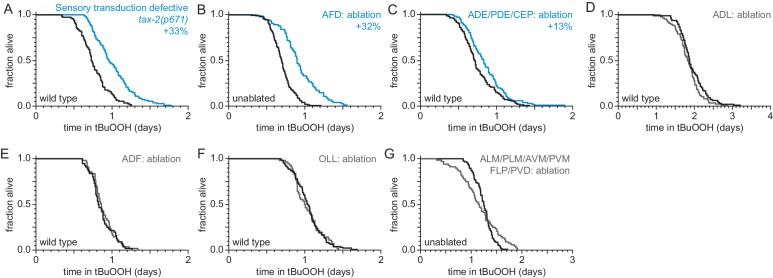 Figure 1—figure supplement 1.