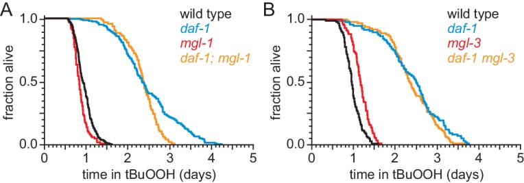 Figure 4—figure supplement 1.