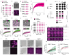 Fig. 4|