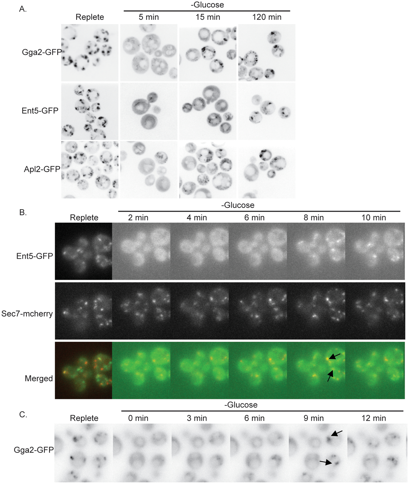 Figure 6.