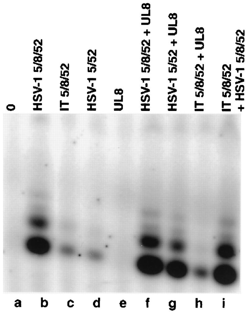 FIG. 5