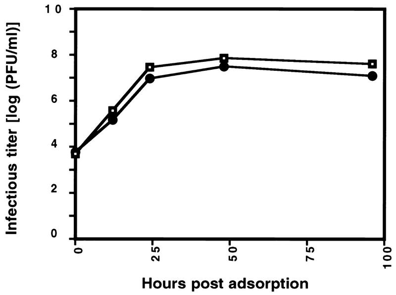 FIG. 1