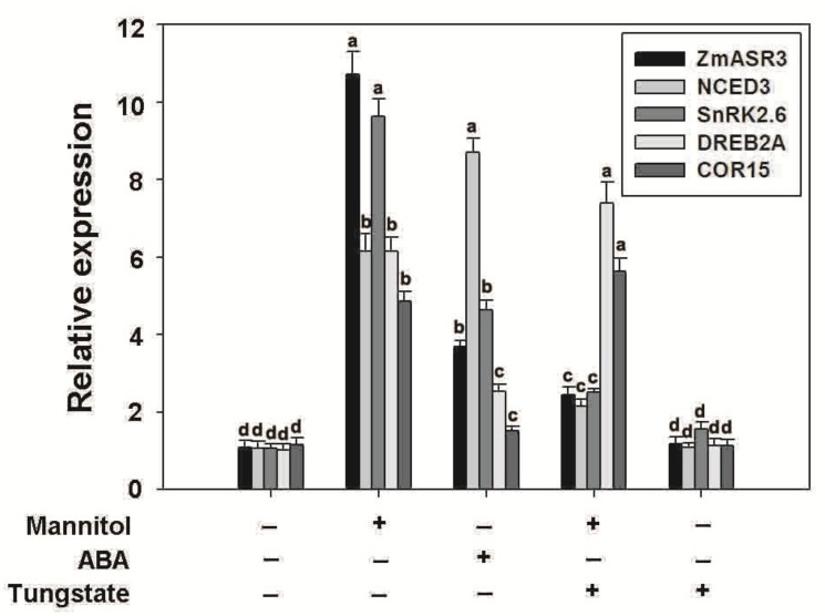 Figure 11