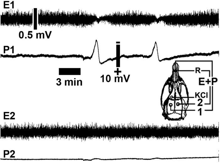 FIGURE 3