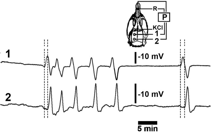 FIGURE 1