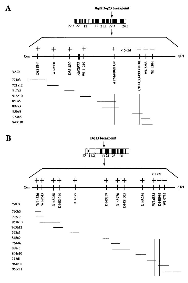 Fig. 5