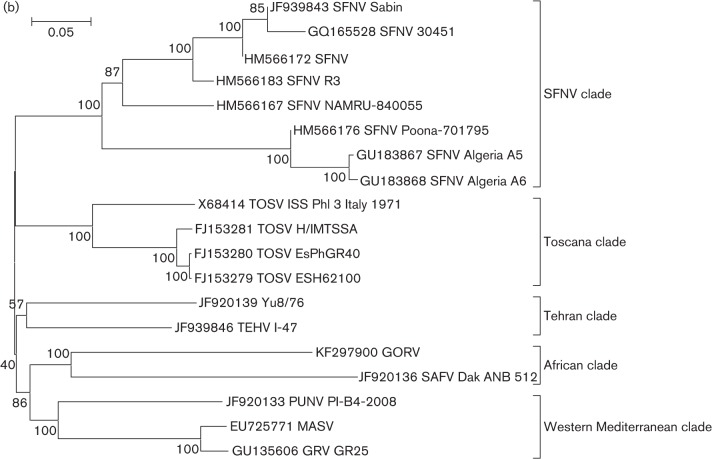 Fig. 1. 