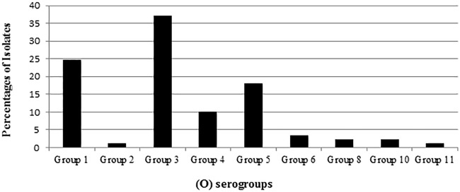 FIG 1