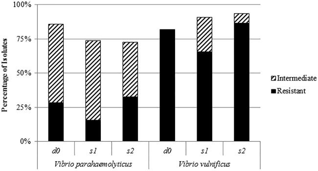 FIG 2