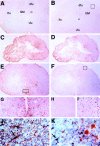 Fig. 12.