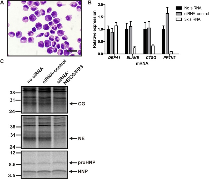 Fig 4