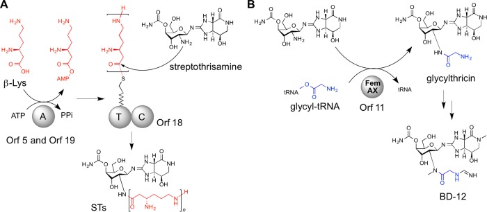 FIG 3