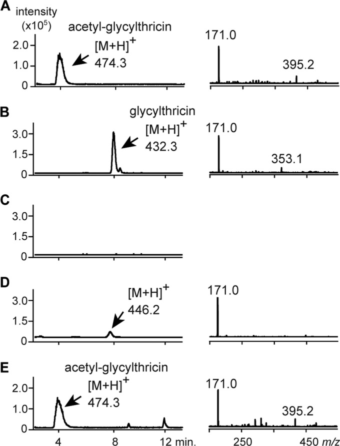 FIG 5