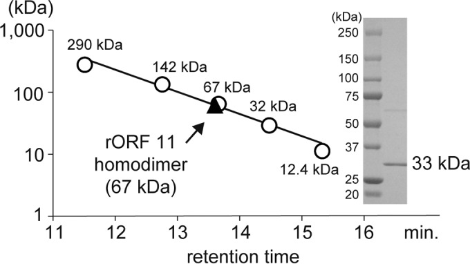 FIG 6