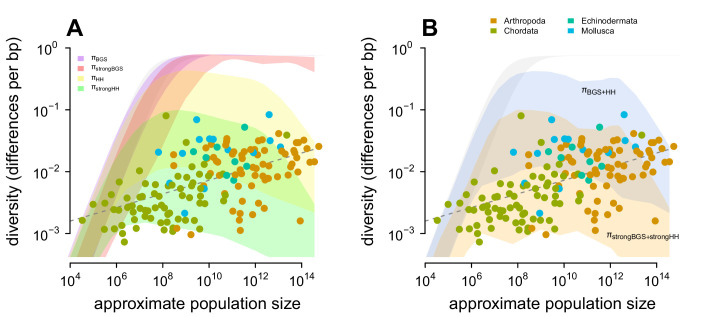 Figure 4—figure supplement 3.