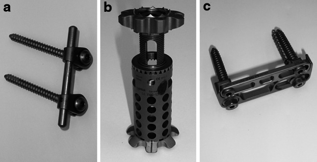 Fig. 1