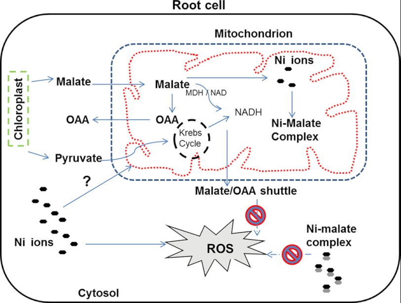 FIGURE 7.