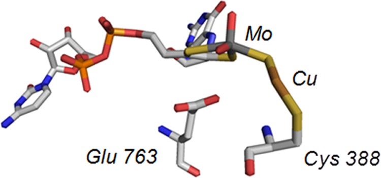 FIGURE 1.