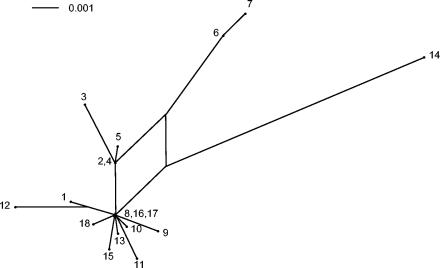 FIG. 4.