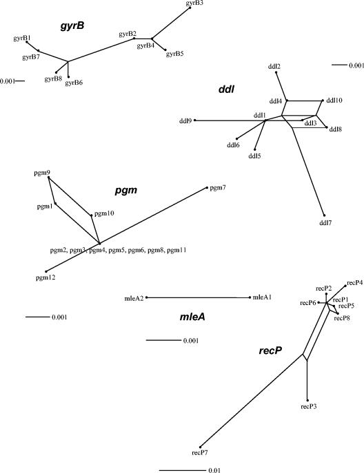 FIG. 5.