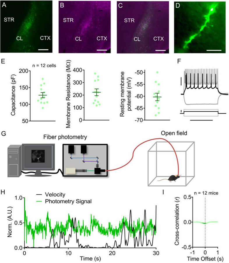 Figure 1: