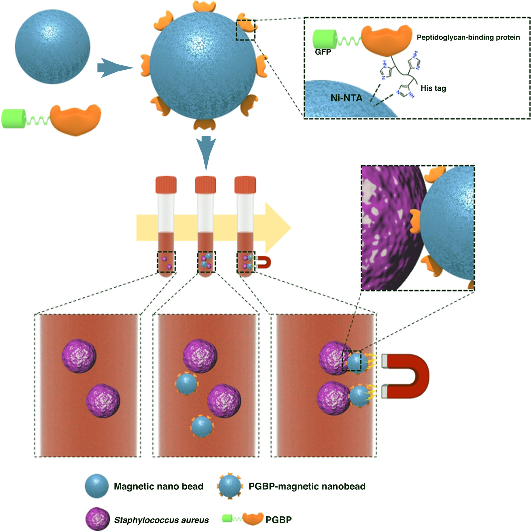 FIGURE 4