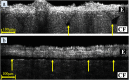 Figure 6