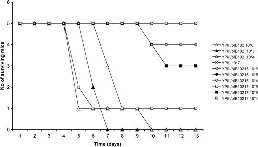 FIG. 5.