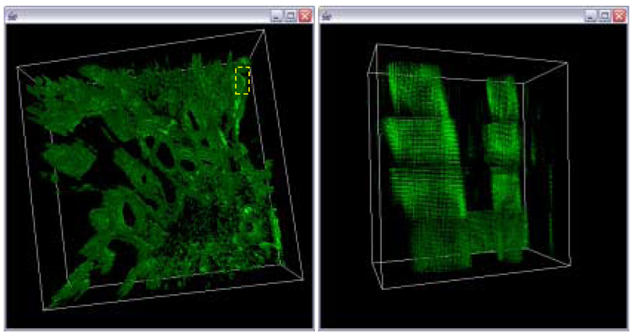 Figure 17