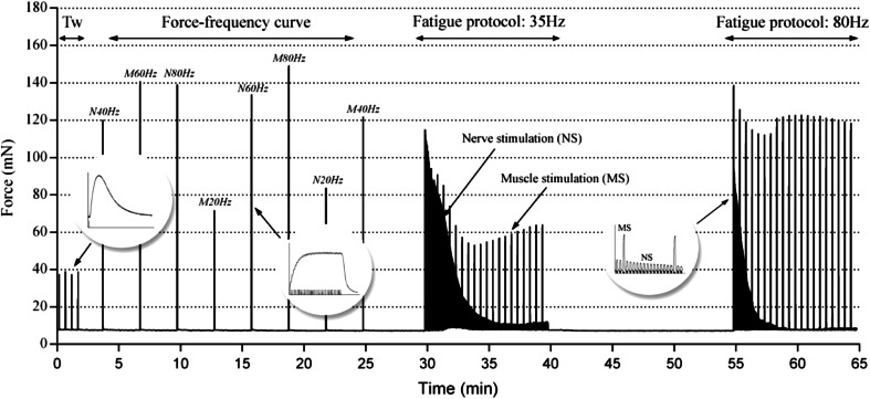 Figure 1