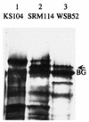 FIG. 6