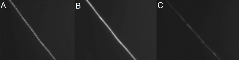 Figure 10