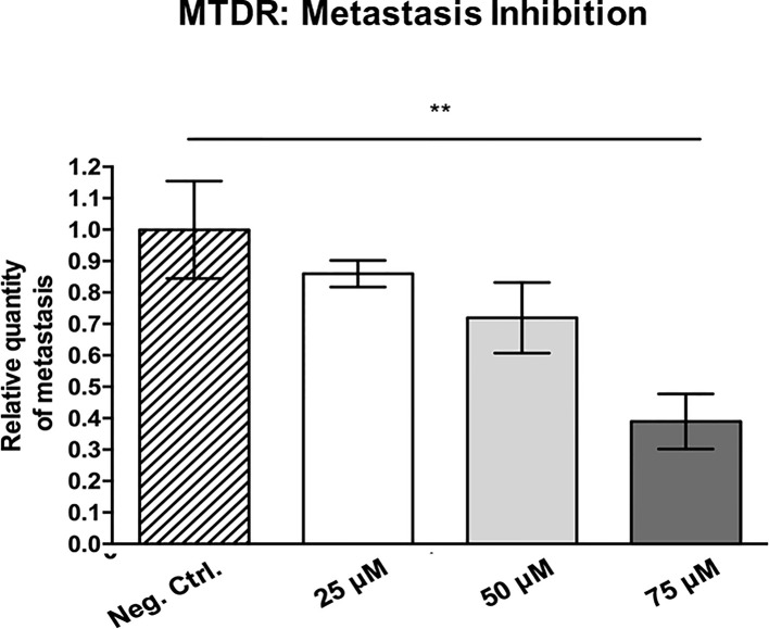 Figure 13