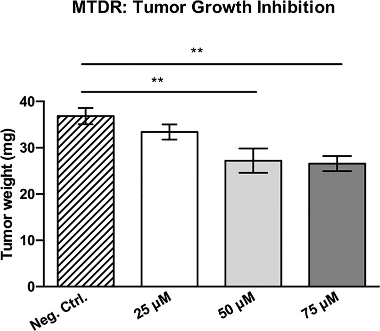 Figure 12