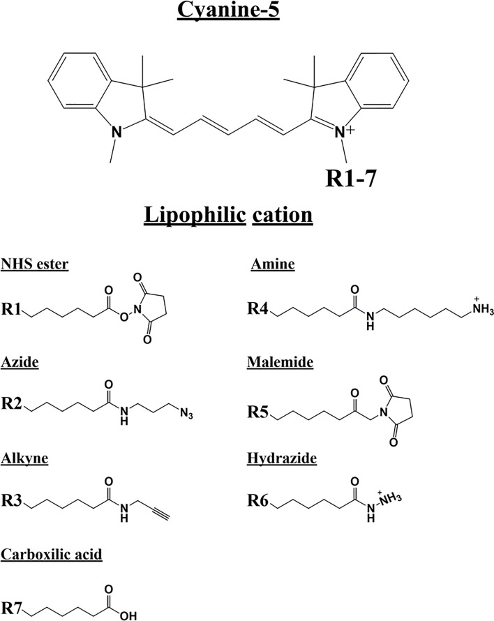 Figure 10