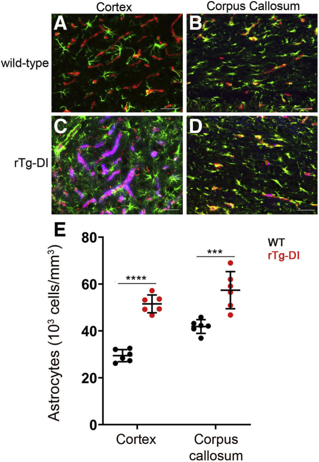 Figure 6