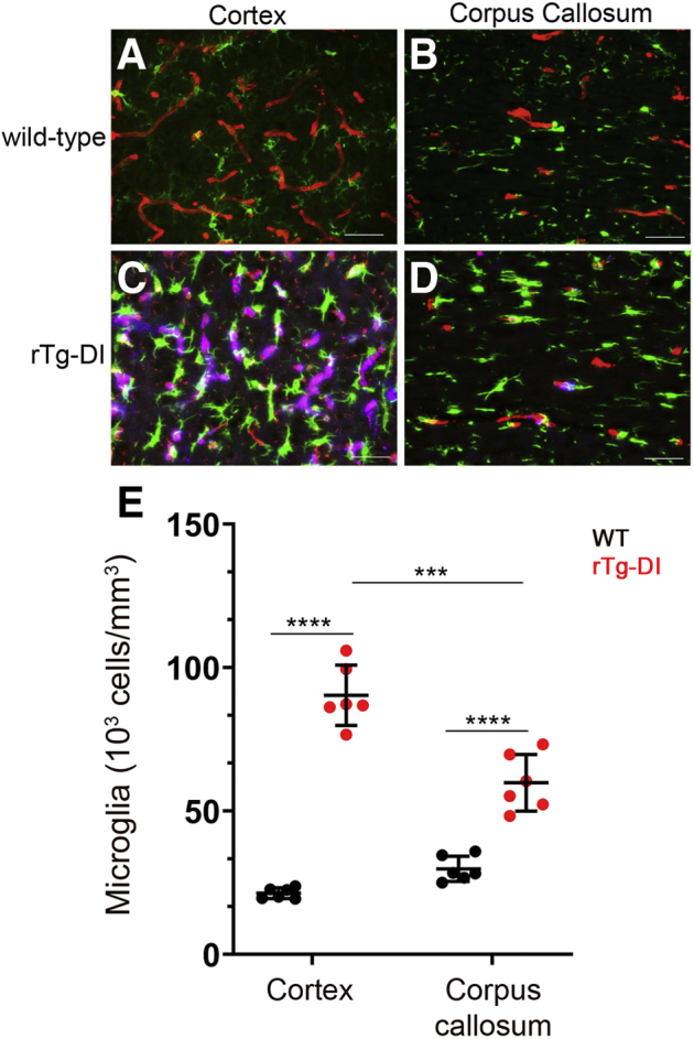 Figure 7