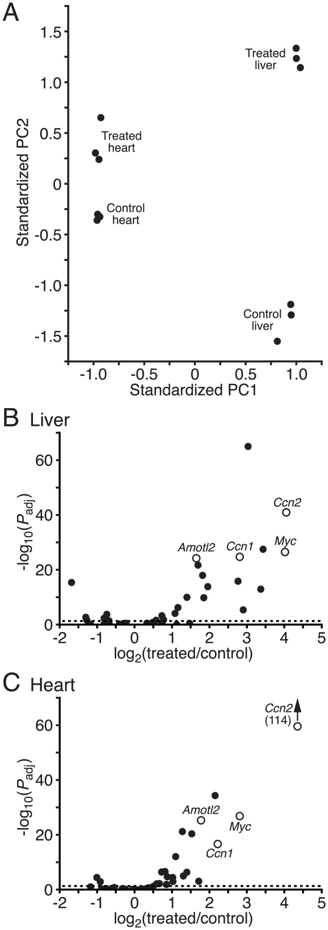 Fig. 4.