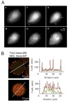Figure 22