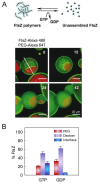 Figure 20