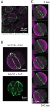 Figure 17
