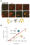 Figure 21