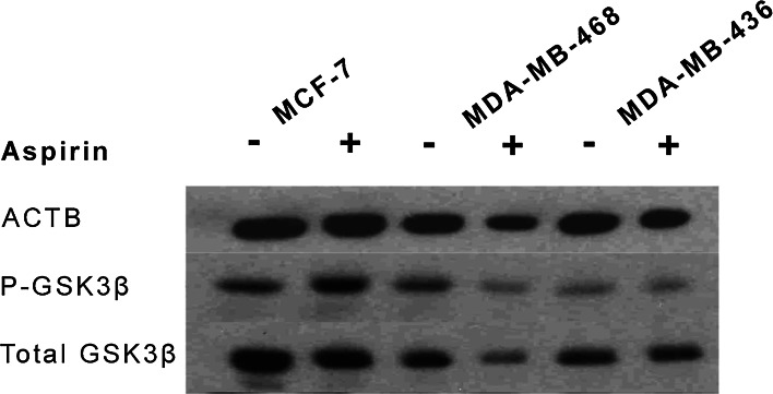 Fig. 6