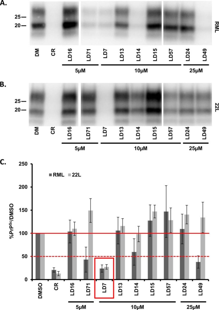 FIGURE 2.