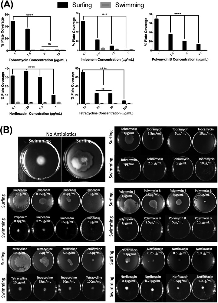 FIG 2