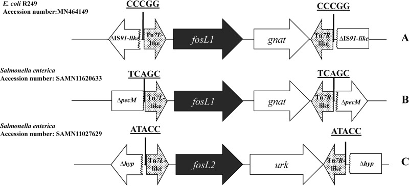 FIG 3