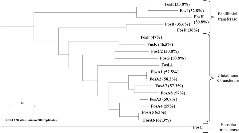 FIG 1