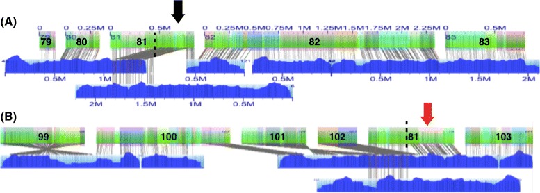 Fig. 7