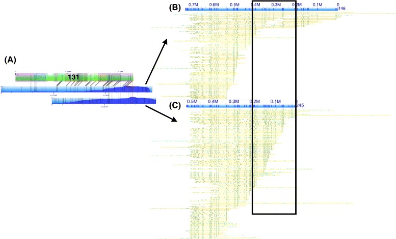 Fig. 9