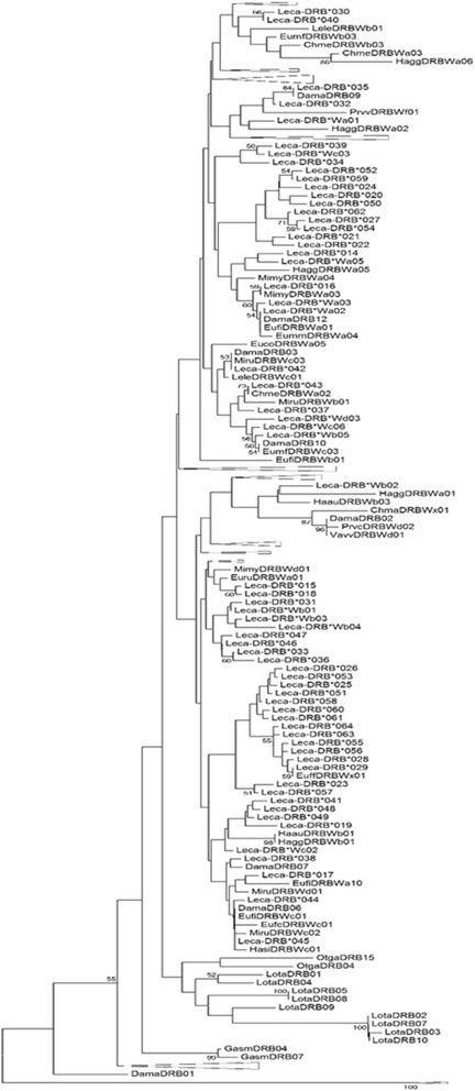 Fig. 10